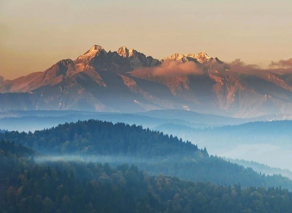 Sprawdź jak możesz wdrożyć GOZ