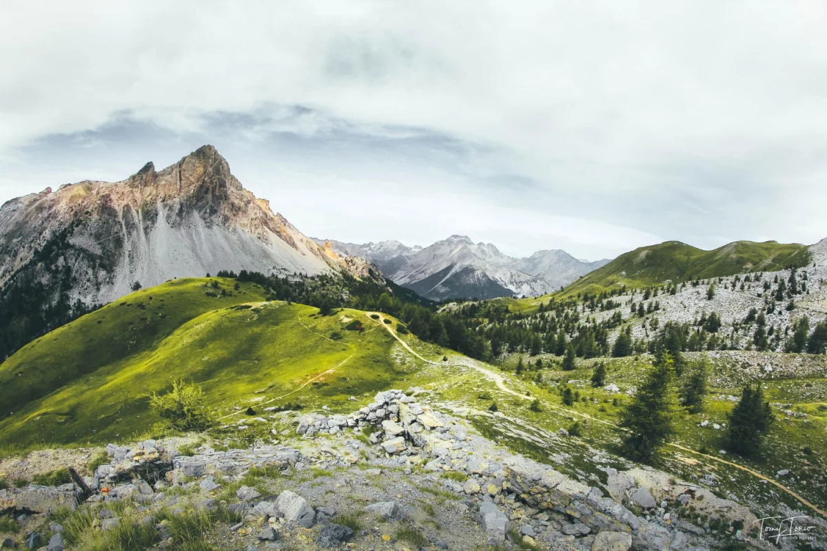 Gdzie można robić biznes a gdzie nie?