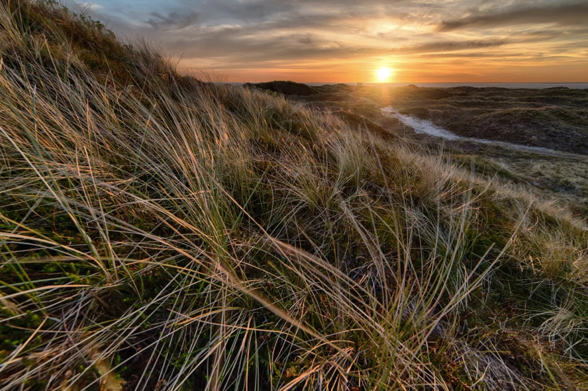 Szukam sposóbów jak wyposażyć mieszkanie